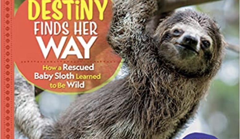 Blog Tour & Giveaway: Destiny Finds Her Way (featuring a SLOTH!)